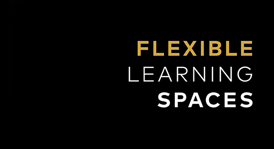 FLEXIBLE LEARNING SPACES