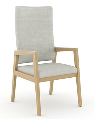 REIN PATIENT CHAIR BY CAROLINA